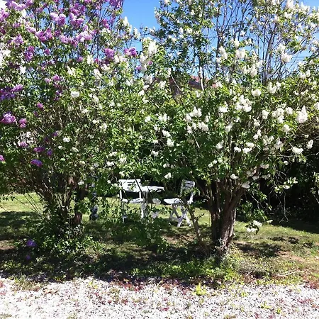 게스트하우스 Les Lilas Roses