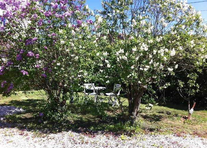 Pensión Les Lilas Roses